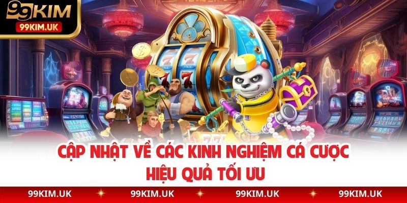 Cập nhật về các kinh nghiệm cá cược hiệu quả tối ưu